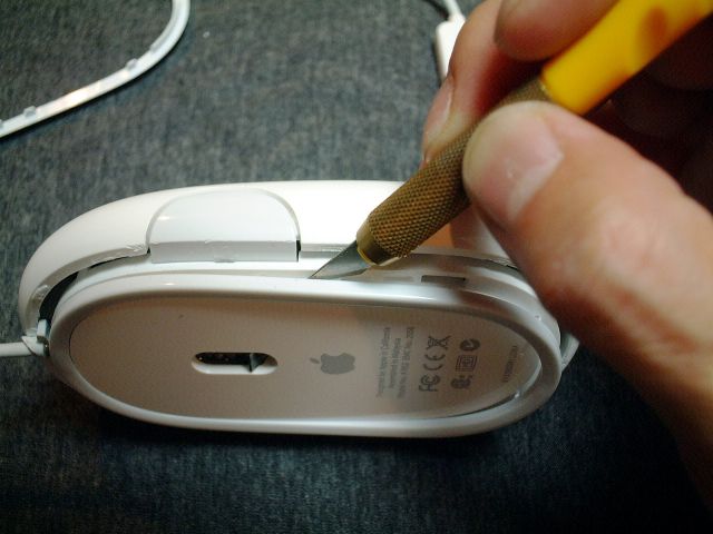 0009.JPG